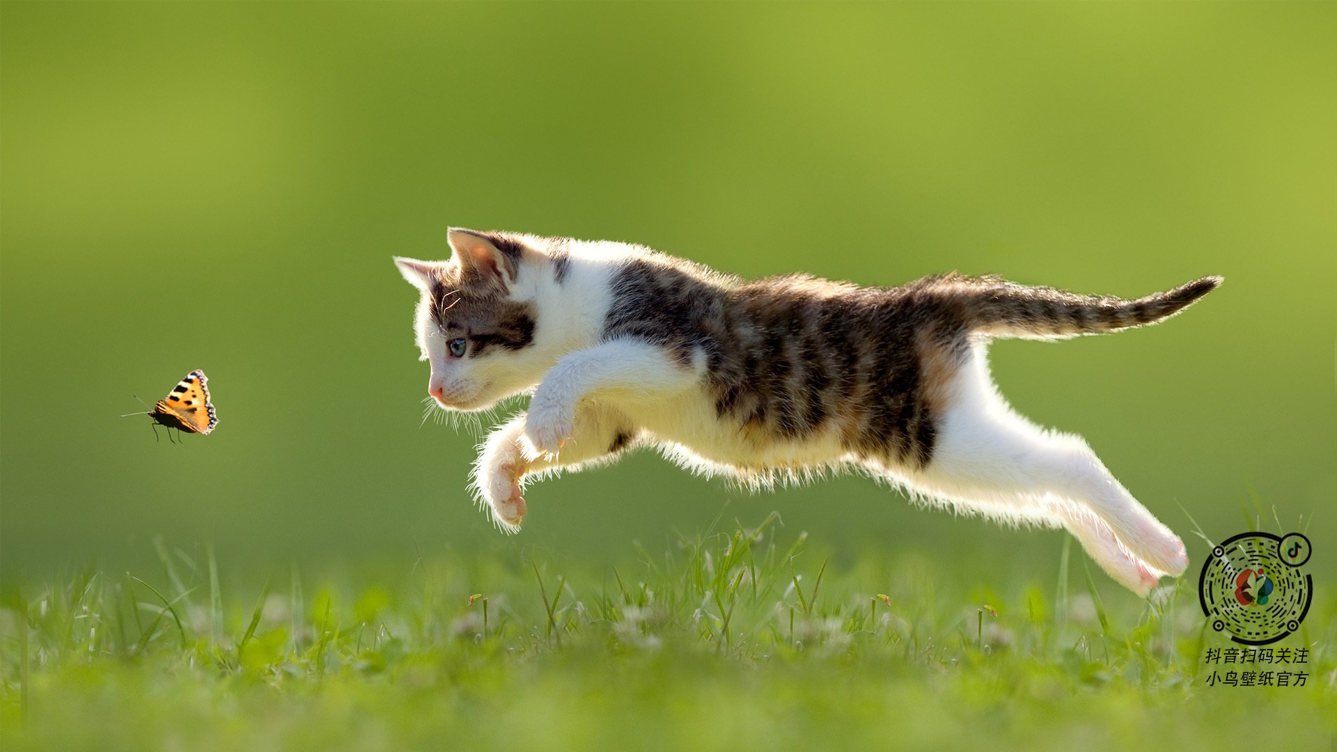 _快船迎难而上，追逐更高排名_，快船名单