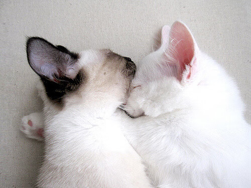 2025世俱杯赛程-_奇才队定乾坤，迎战联盟强队_，奇才队比赛最新战况