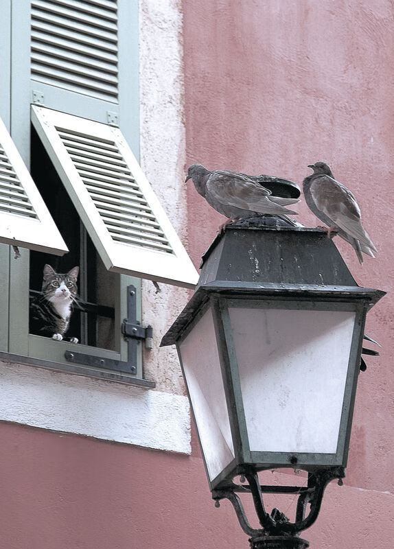 2025世俱杯-“英超末轮决战在即，冠亚军悬念重重”，2021英超最后一轮