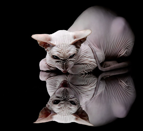 “青少年足球训练体系全面深化,培养未来精英”,青少年足球训练大纲 中国足协