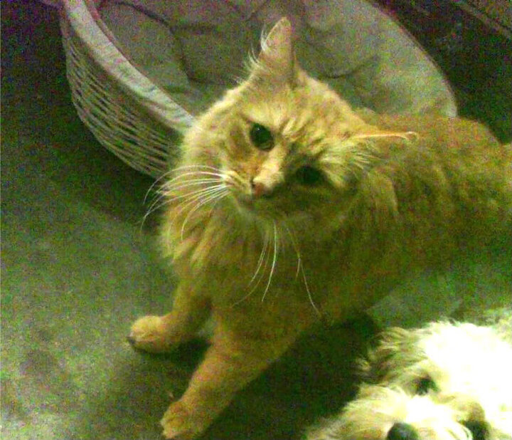 2025世俱杯赛程-亚洲电视直播现场热闹非凡，观众沸腾不已，亚洲电视a1台2021年