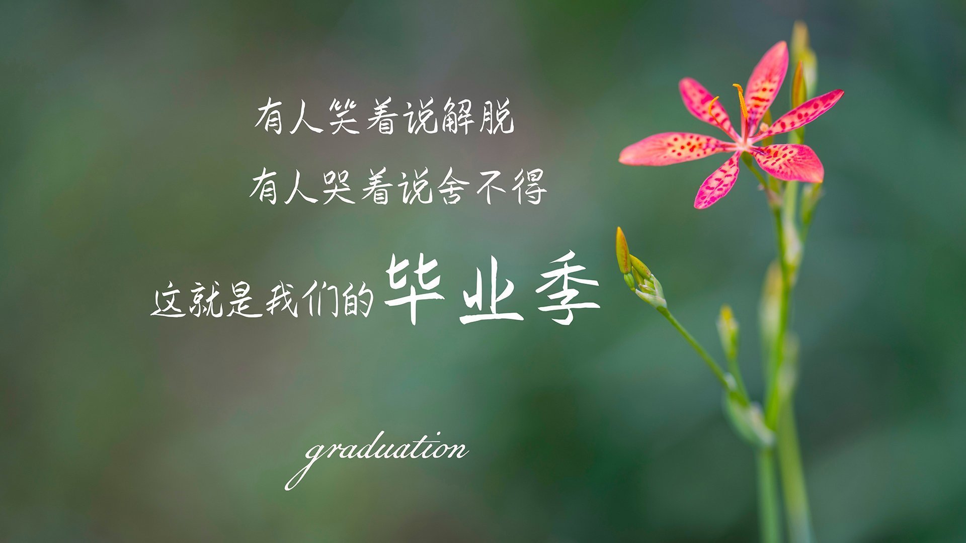 亚洲球队防守端稳固提升，亚洲球员