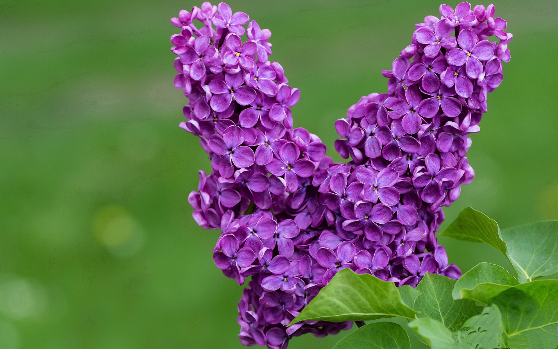 专家点评：赛后分析与未来趋势，赛后集锦