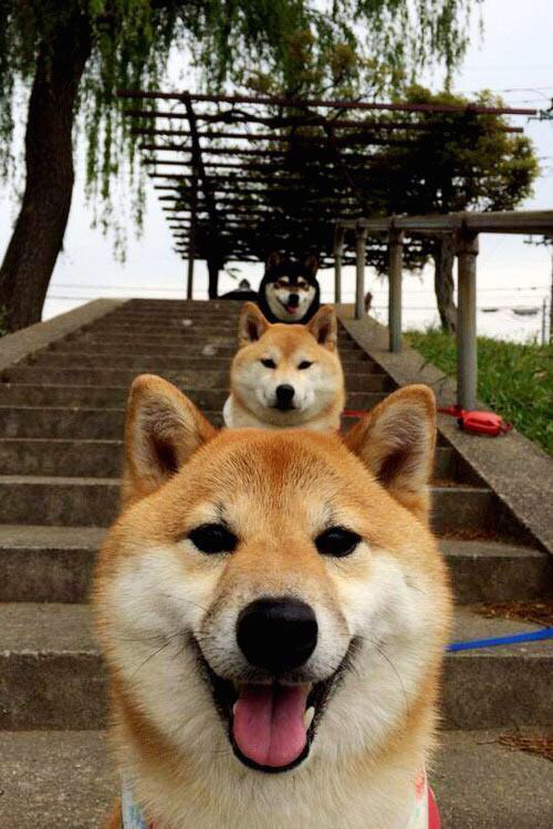 世俱杯官方-中国足球国际合作成果丰硕，青训交流合作不断深化，中国足协合作伙伴