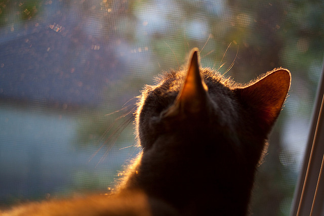 天气预报影响中超比赛，赛程调整引关注，中超预测今天