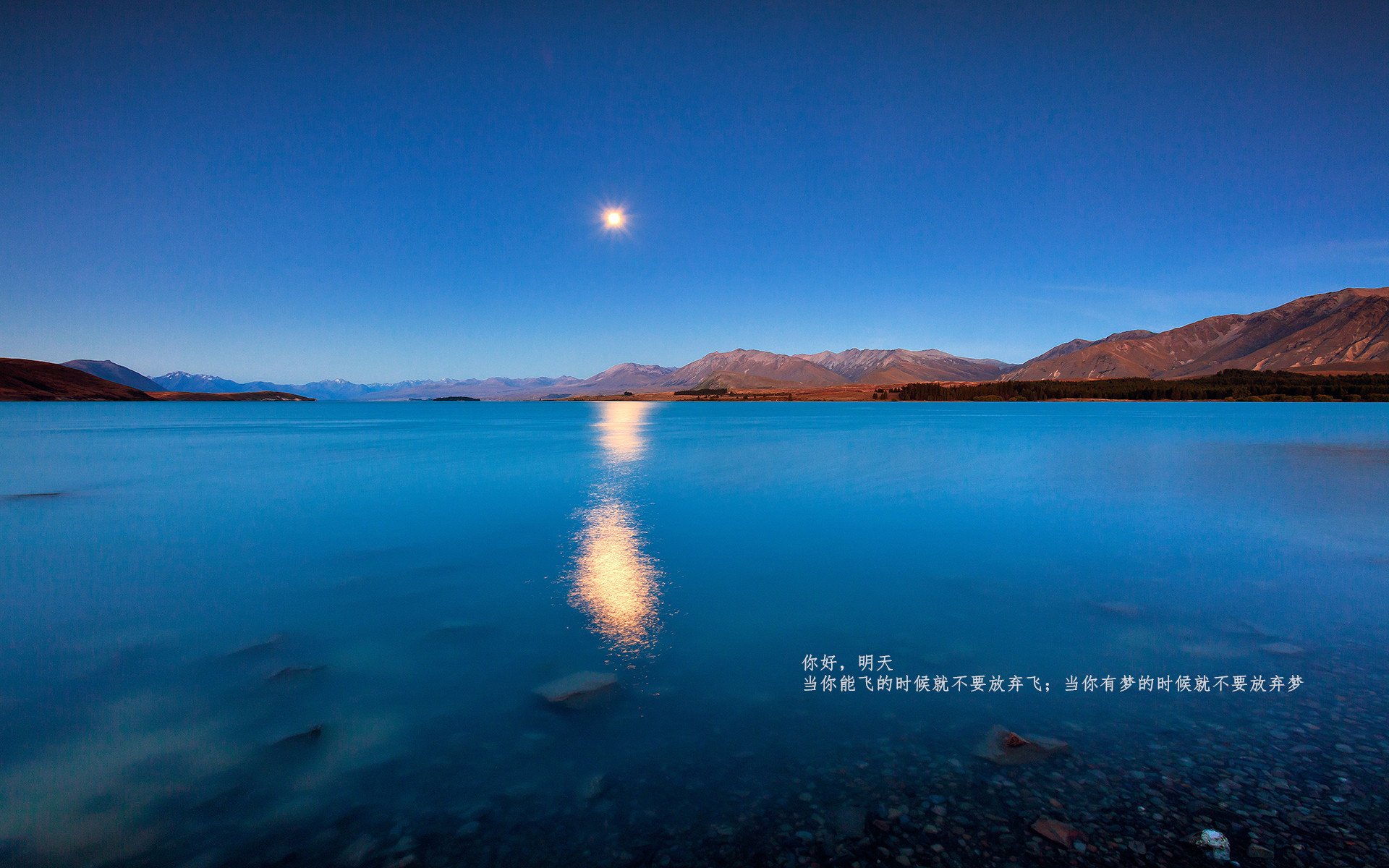 太阳小前锋打破联盟罚球连续命中纪录，小前锋罚球命中率排行榜