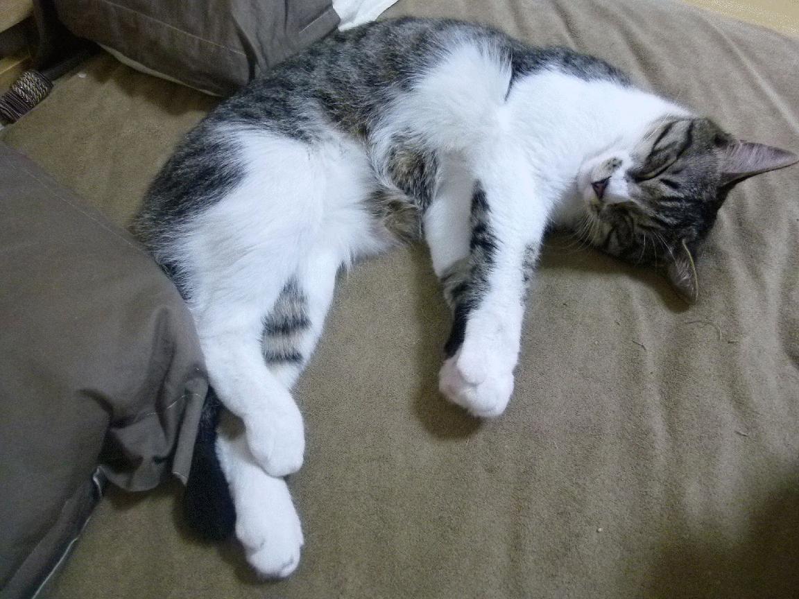 太空狼人杀世界总决赛倒计时，推理与谋略争锋