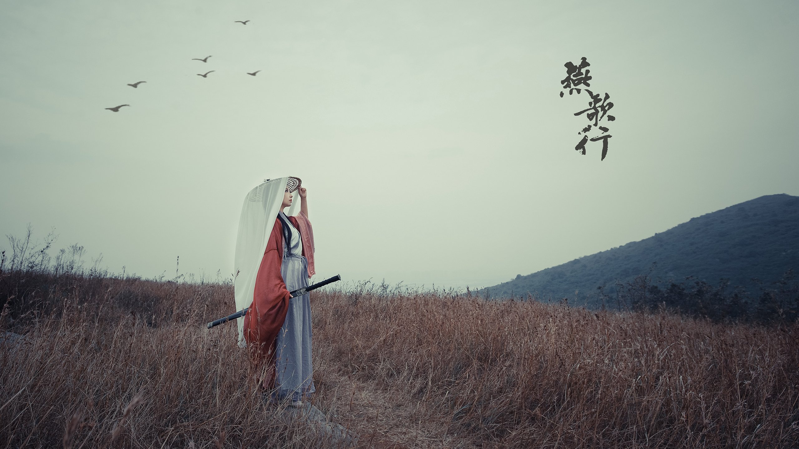 德甲紧咬战,球迷热烈讨论,德甲消息