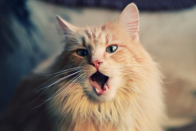 意甲豪门争锋,尤文图斯逆转取胜,尤文图斯在意甲一家独大