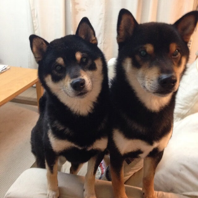 2025世俱杯赛程表比赛时间-战术剖析：联盟中最令人头疼的防守体系，联盟防守效率