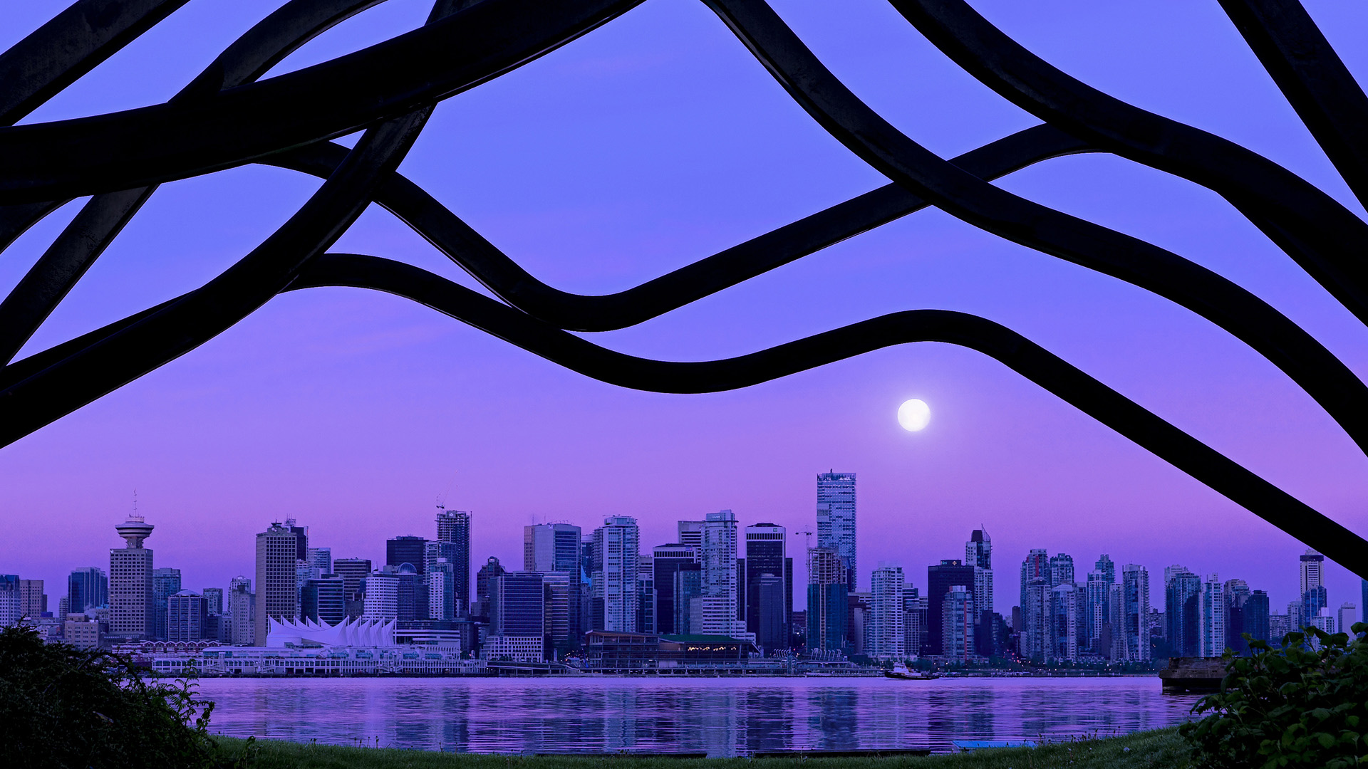 教练换帅:新主帅带来什么样的变化?,主教练换上自己