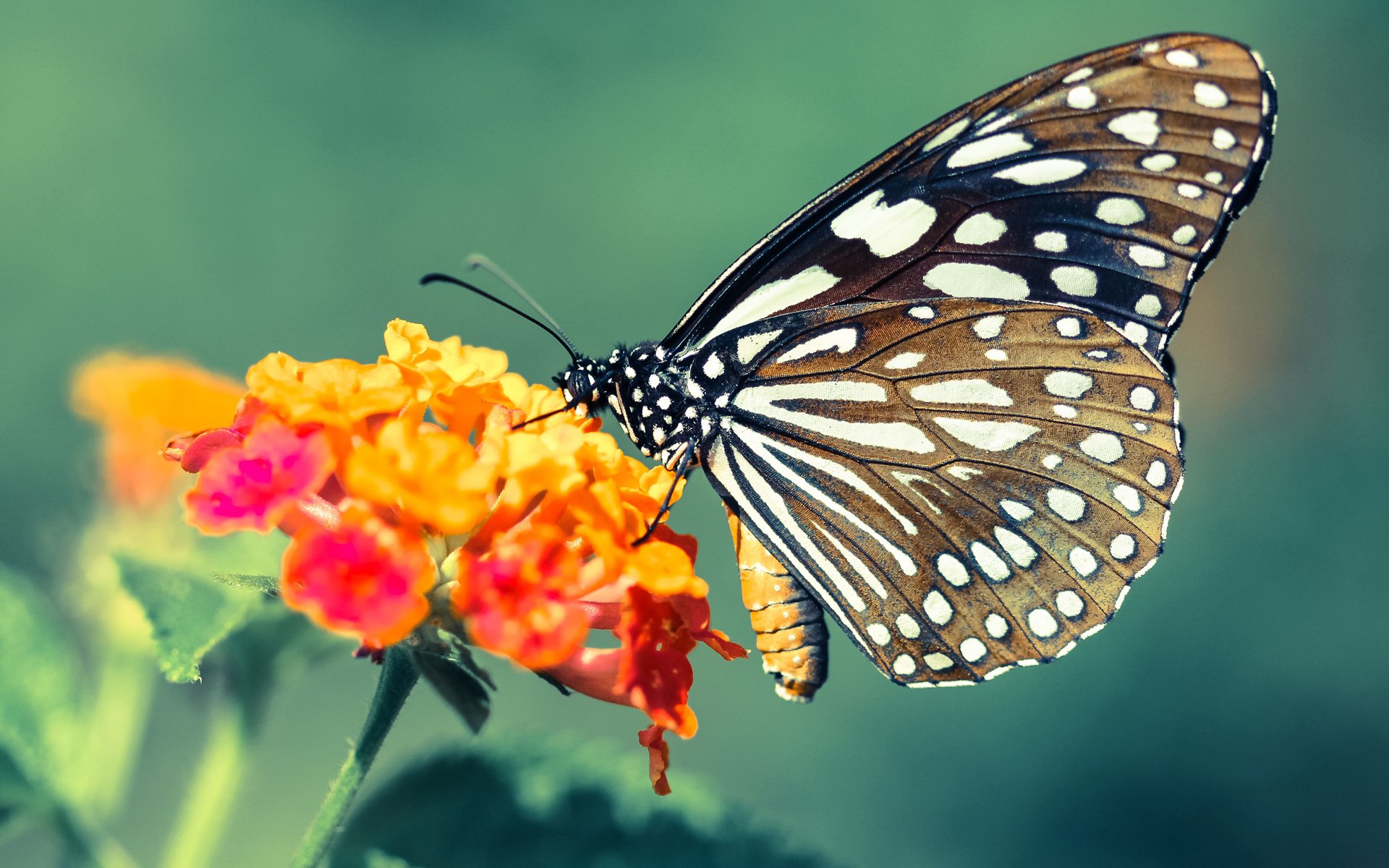 电竞与科技领域的紧密结合：技术驱动，体验升级，电竞与游戏