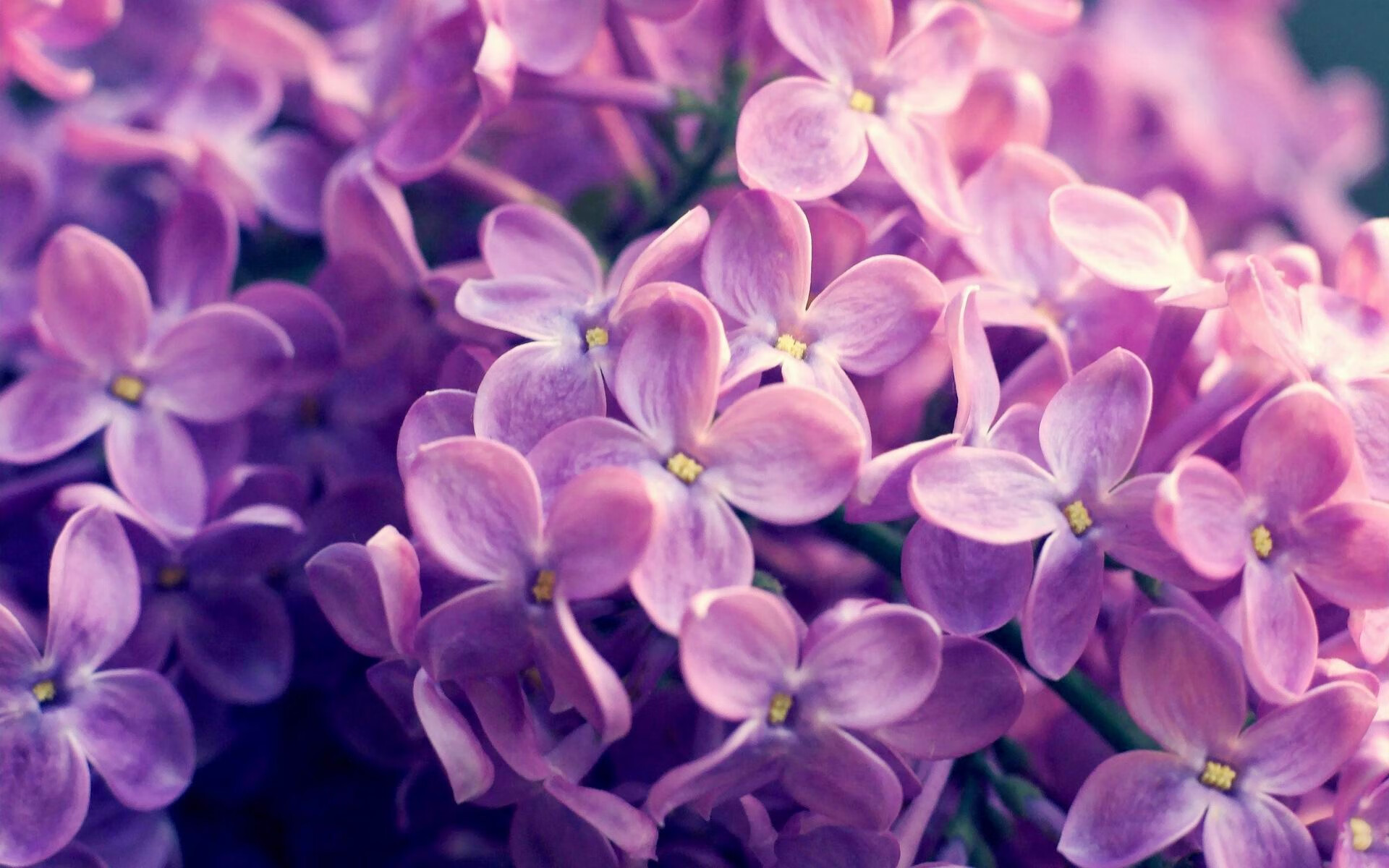 电竞直播平台观看时长创新纪录,电竞直播平台排行