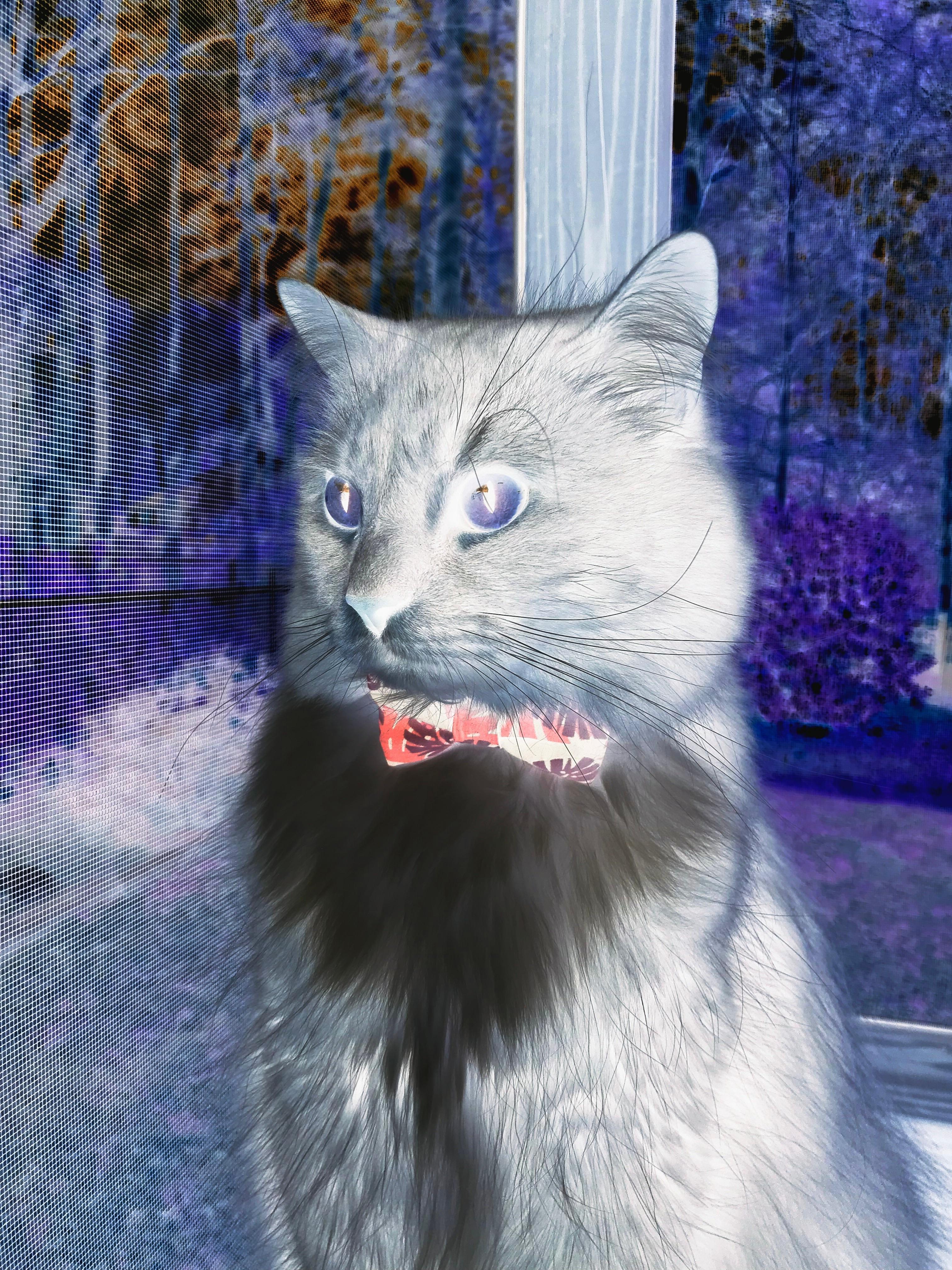 世俱杯比赛视频在线观看-电子竞技首次纳入省级运动会，引发热议，电子竞技 运动会