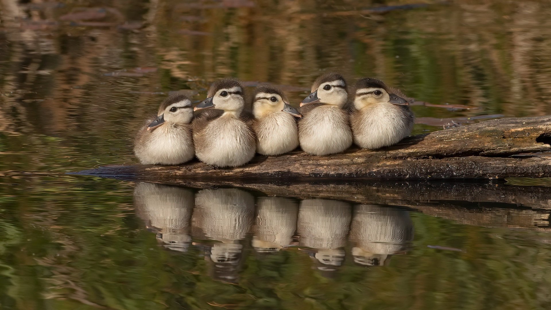 青训基地建设提速，完善硬件设施，青训学校主要学什么