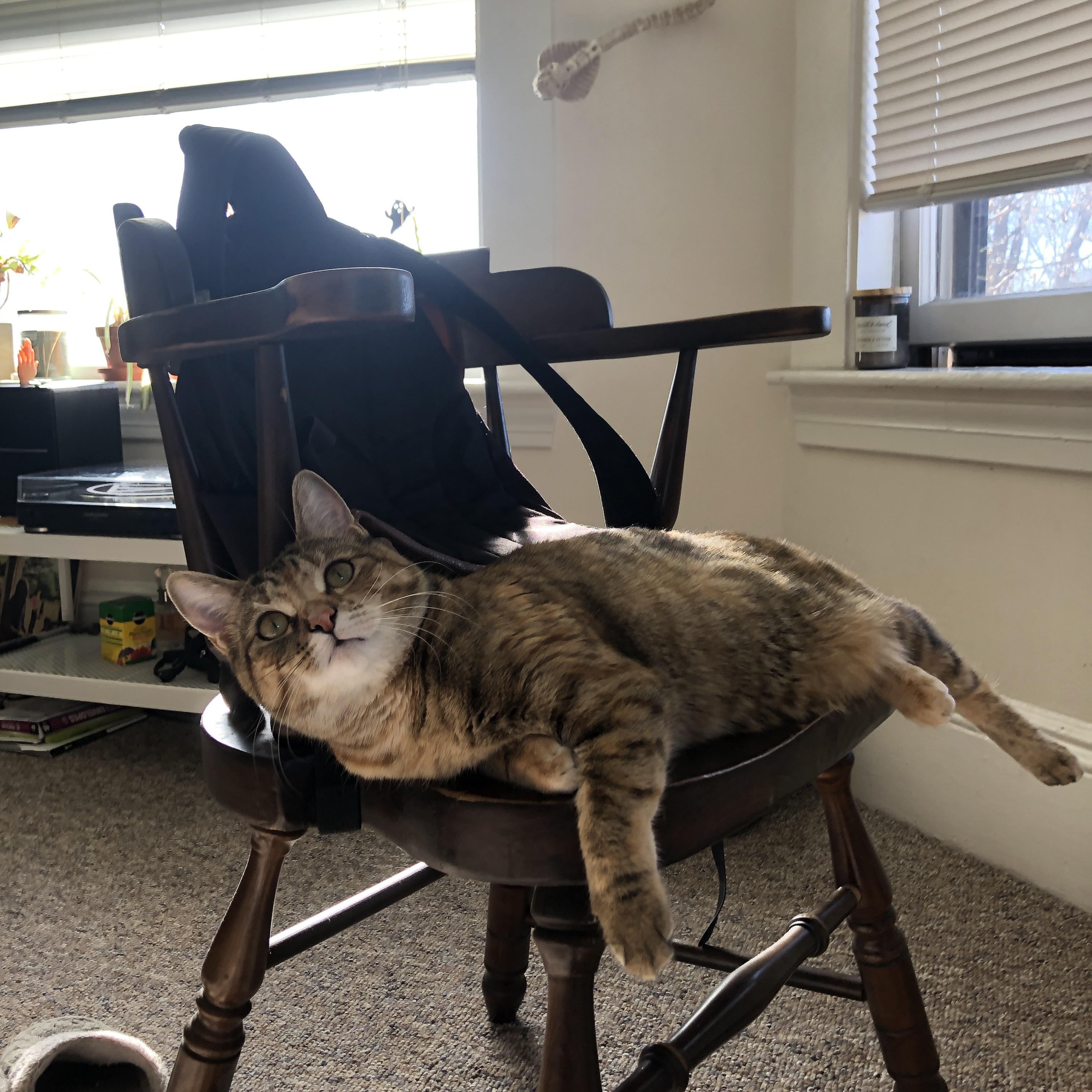 青年才俊：法甲未来之星崭头角