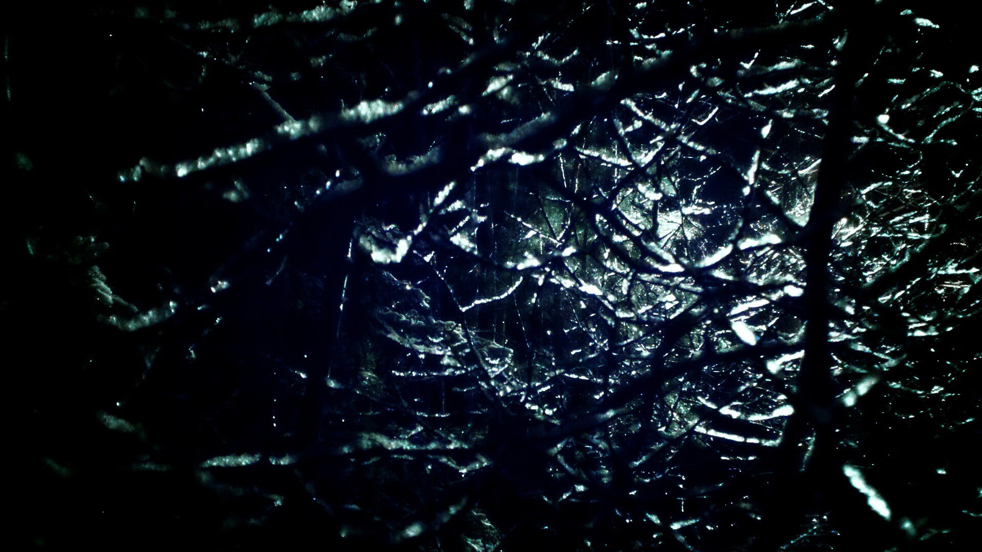 体育教练调整阵容应对密集赛程,体育教练简介照片