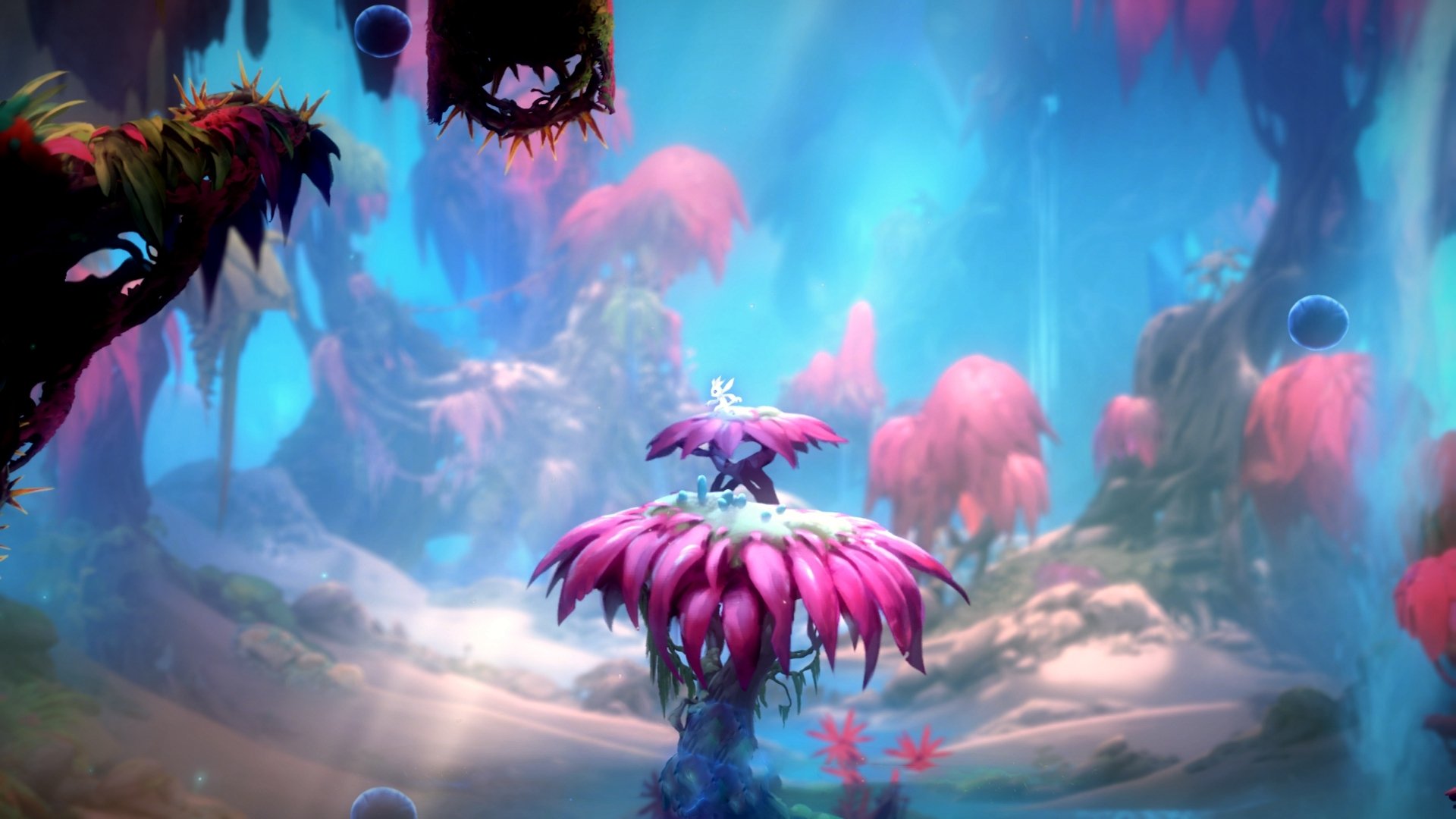 体育教练调整阵容应对密集赛程,体育教练简介照片