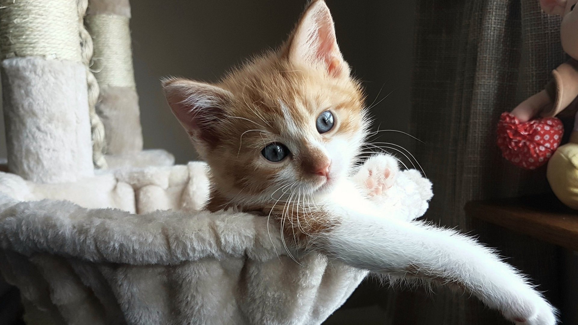 切尔西主场逆转胜曼联，豪取胜利，切尔西主场逆转胜曼联,豪取胜利是哪一年