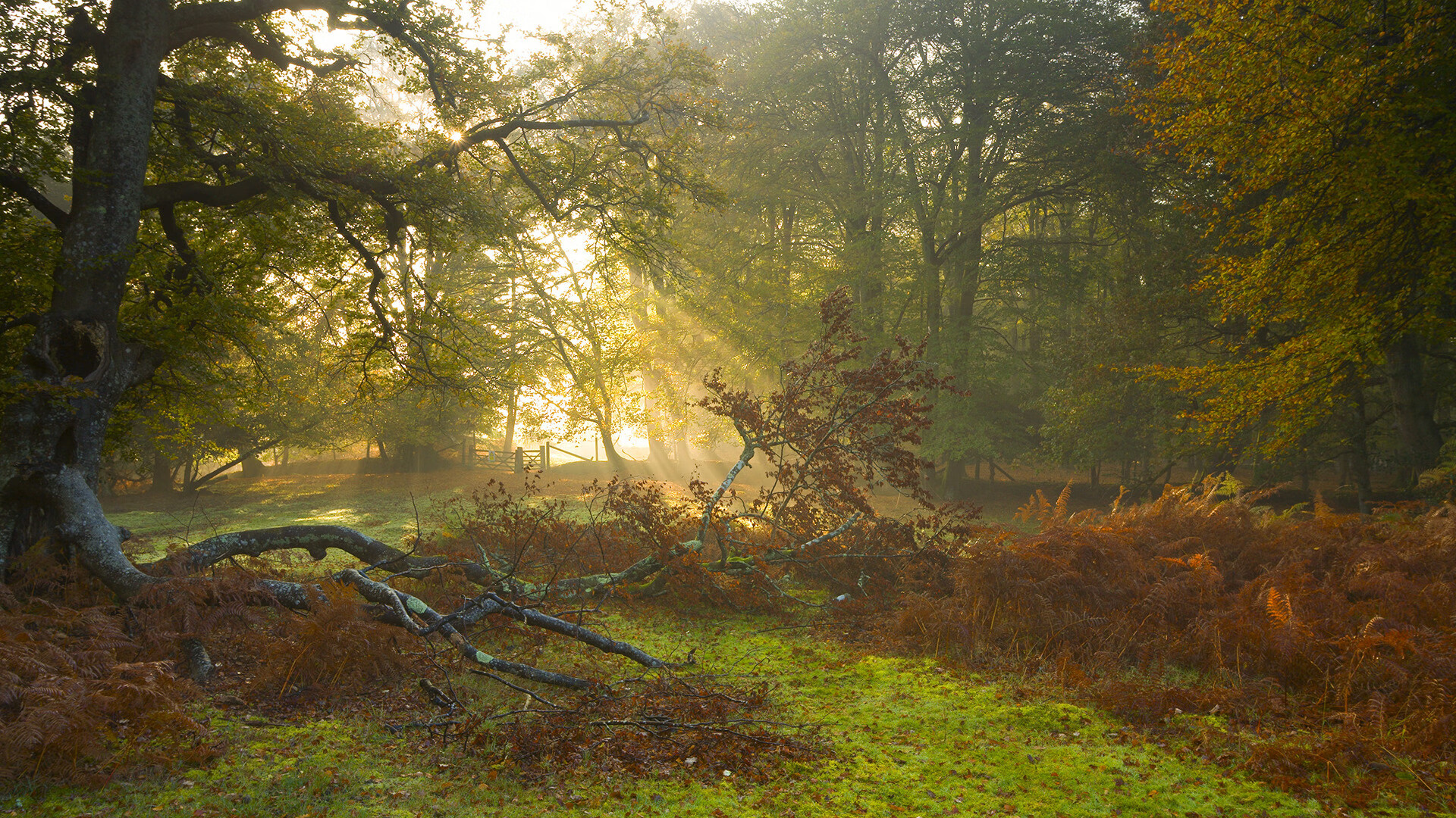 吉达联合遭遇伤病潮影响成绩,吉达是哪里