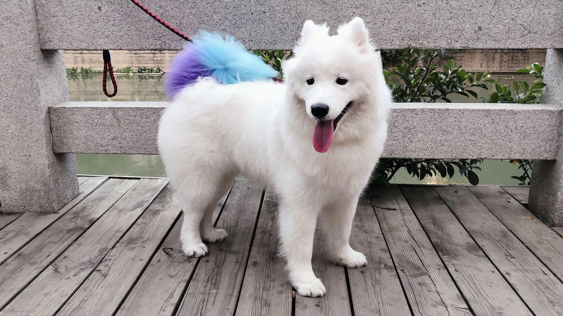 国安抢分无果，永昌客场战胜提前躲离降级区，石家庄永昌 北京国安