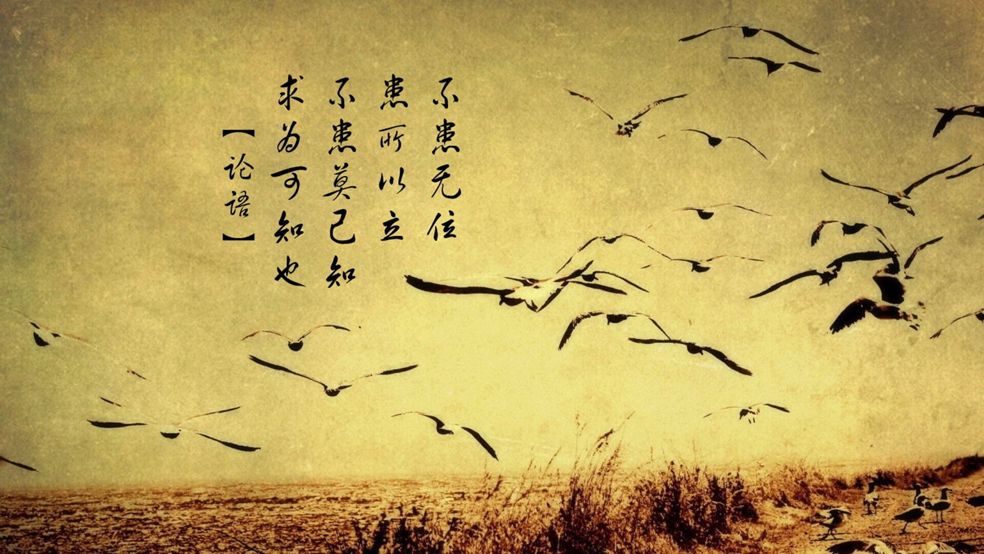 托特纳姆热刺取得关键胜利,继续追赶领头羊,托特纳姆热刺球员