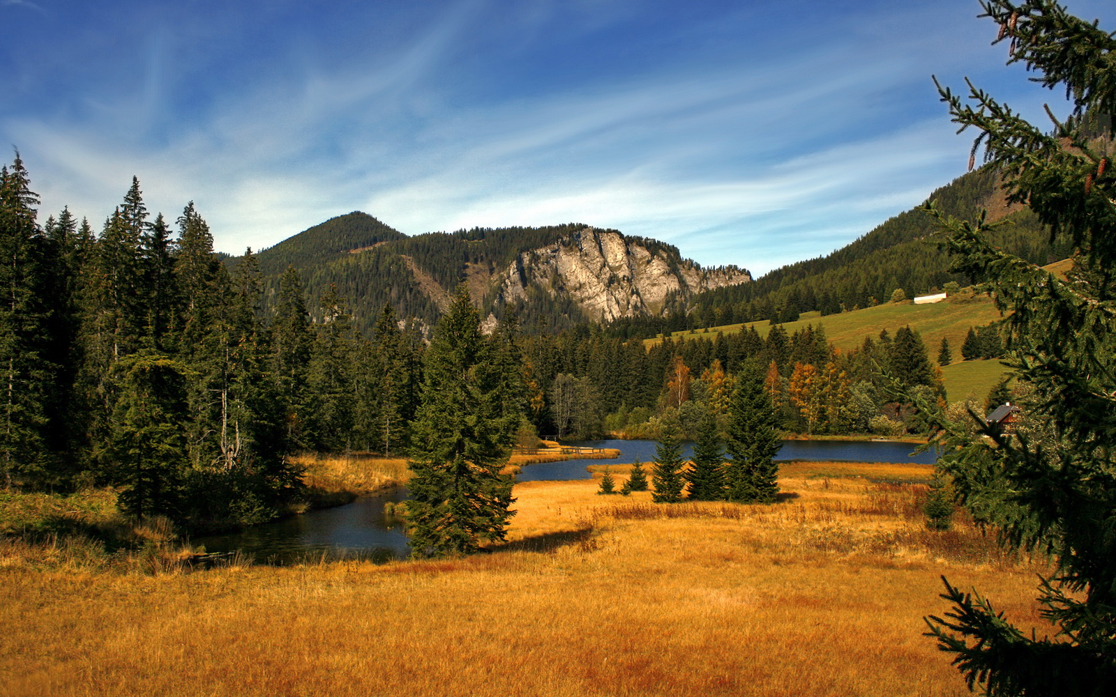 中国足球定位球得分能力研究,足球定位球技术