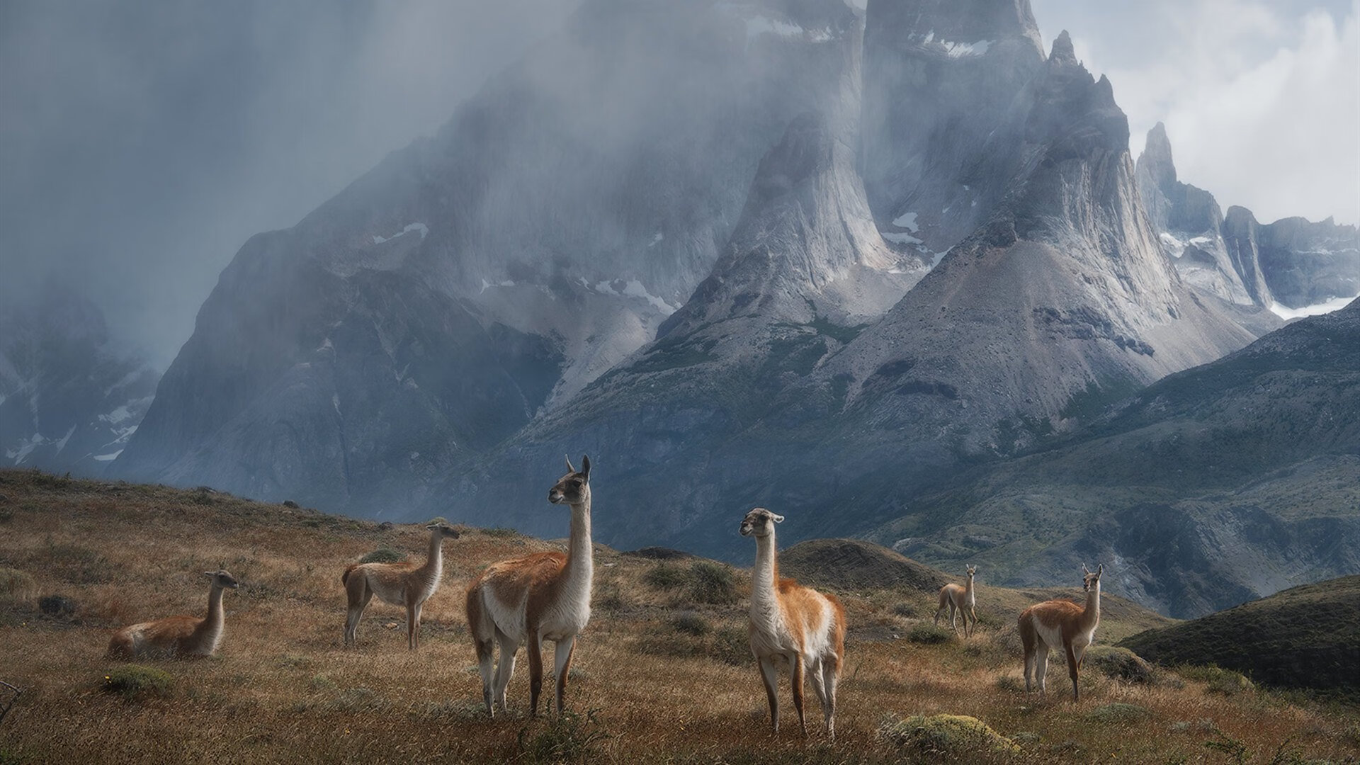 中超外援评分与球队成绩相关性，中超外援实力排名 知乎