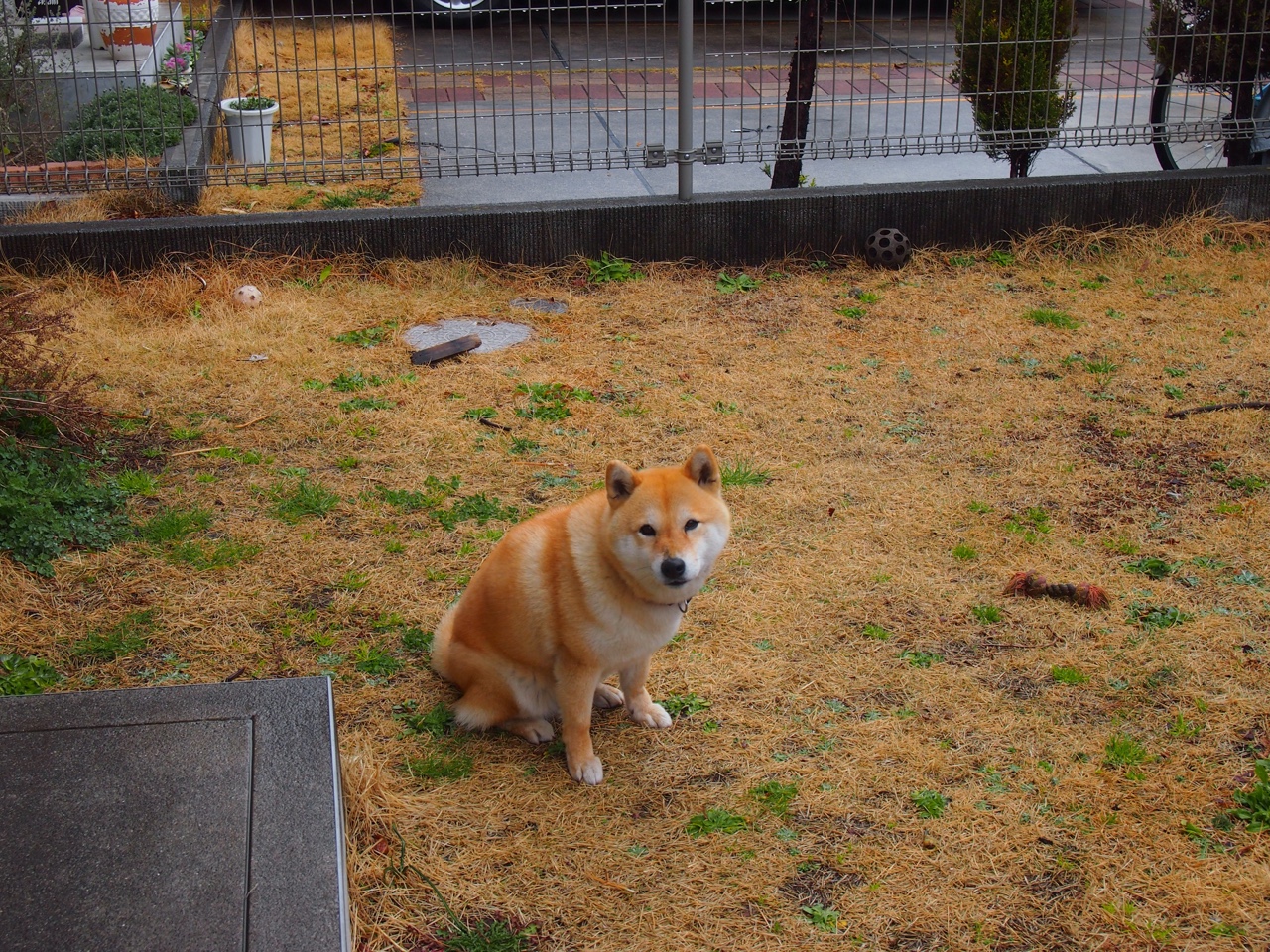 体育赛事风险评估体系,体育赛事风险评估体系包括