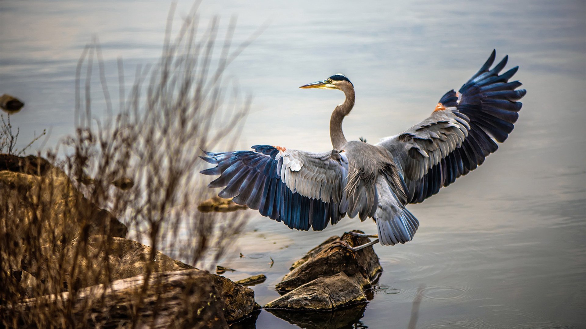 未来足球：技术驱动赛事玩法多元化，未来的足球可能长什么样