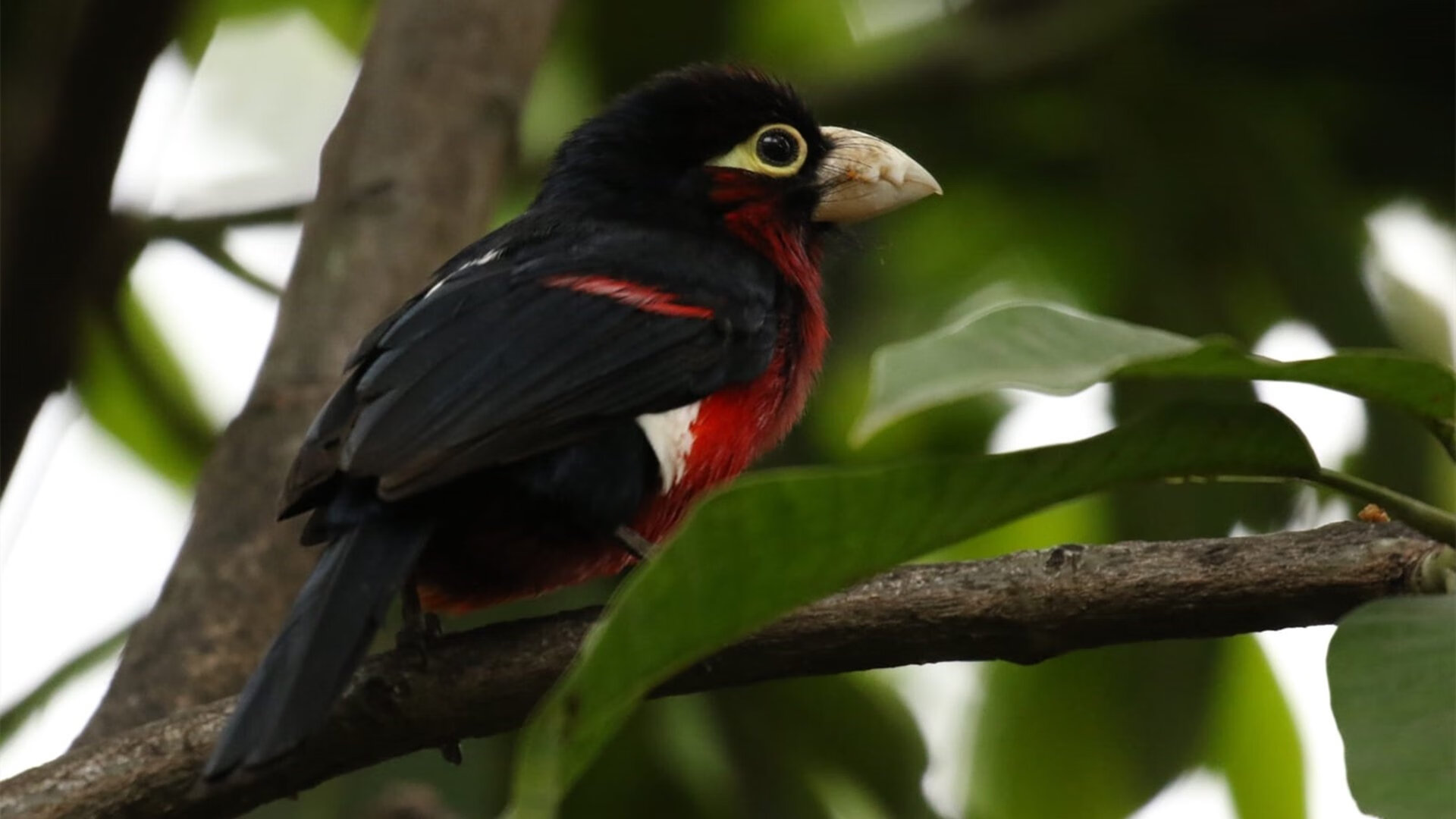 亚洲杯中国足球夺冠 球员拼搏精神被赞,亚洲杯足球冠军