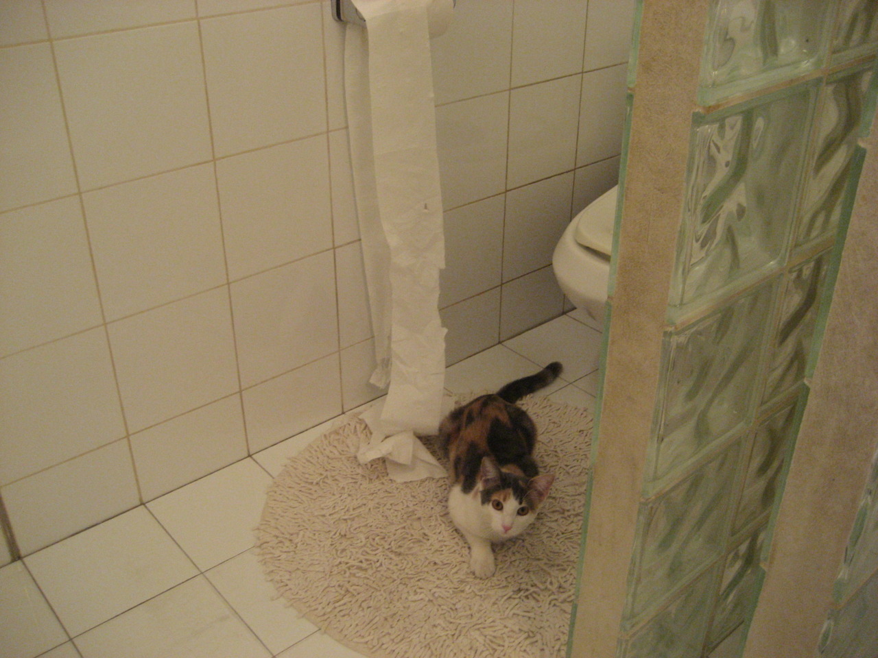 世俱杯入口-加拿大队赛制研究：如何通过灵活赛制提高战术执行力，加拿大队员